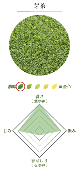 芽茶の紹介画像